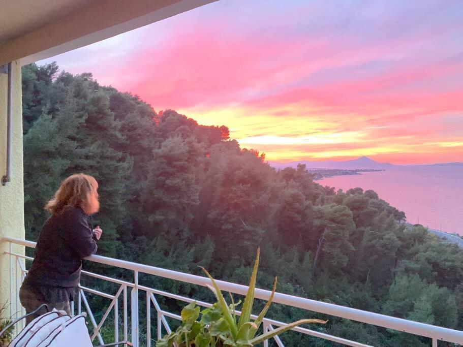 Markopoulon OropouAmfiteatrico Sea View - Kalamos Attikiアパートメント エクステリア 写真